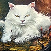 Пятнашки: Суровый кот (Angry cat slide puzzle)