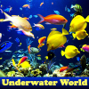 Поиск предметов: Подводный мир (Underwater World)