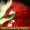 Пять отличий: Клубничная ферма (Strawberry farm)