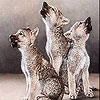 Пятнашки: Волчата (Three cute wolf slide puzzle)