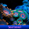 Поиск предметов: Морское путешествие (Sea travel. Find objects)