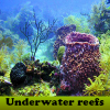 Пять отличий: Рифы (Underwater reefs)