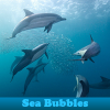 Пять отличий: Морские шарики (Sea Bubbles 5 Differences)