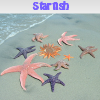 Поиск предметов: Морская звезда (Starfish. Find objects)