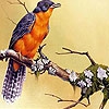 Пазл: Листья и птичка (Leaves and bird puzzle)