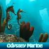 Поиск предметов: Морская одиссея (Odyssey Marine)