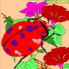 Раскраска: Жук в саду (Kid's coloring: Garden beetle)