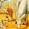 Пазл: Кенгуру (Red kangaroos and birds puzzle)