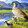 Пятнашки: Утка с утятами (Ducks and rainbow slide puzzle)