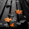 Поиск чисел: Осенние дни (Autumn Day find numbers)