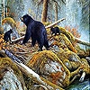 Пазл: Медведи на озере (Bears in the lake slide puzzle)