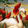 Пятнашки: Лебедь (Swan and flowers slide puzzle)