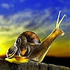 Пятнашки: Улитка (Prying snail slide puzzle)