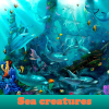Поиск предметов: Морские существа (Sea creatures. Find objects)