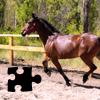 Пазл: Лошади 3 (Horse Jigsaw Puzzles)