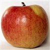Пазлы: Яблоки (Big Apple Jigsaw)
