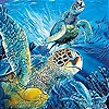 Пятнашки: Морские черепахи (Turtles  in the ocean slide puzzle)