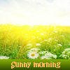 Пять отличий: Солнечное утро (Sunny morning)