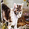 Поиск чисел: Котята (Melancholic cats hidden numbers)