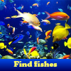 Поиск предметов: Рыбки (Find fishes. Find objects)