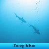 Поиск предметов: Синяя глубина (Deep blue. Find objects)