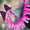 Пазл: Бабочки и цветок (Butterflies and blossom slide puzzle)