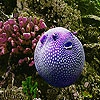 Пятнашки: Пурпурная рыбка (Oceanic purple fish slide puzzle)
