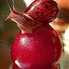 Пятнашки: Улитка (Red snail  slide puzzle)