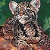 Пятнашки: Усталый тигренок (Tired baby tiger slide puzzle)