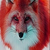 Пятнашки: Лисица (Red forest fox slide puzzle)