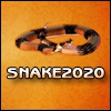 Змейка (SNAKE 20-20)