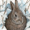 Пазл: Кролик в снегу (Snow Rabbit Puzzle)