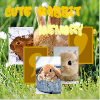 Парные картинки: Миляги кролики (Cute Rabbit Memory)