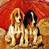 Пятнашки: Собачки (Red umbrella dogs slide puzzle)