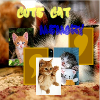 Парные картинки: Котята (Cute Cat Memory)