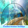 Поиск предметов: Подводный мост (Underwater bridge)