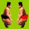 Соревнование борцов сумо (Challenge of the Sumo wrestlers)
