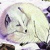 Пазл: Снежная лиса (Sleepy white fox puzzle)