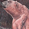 Пазл: Полярные медведи (Red polar bears puzzle)