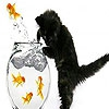 Пазл: Черный кот и красные рыбки (Black cat and red fishes puzzle)