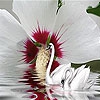 Пятнашки: Лебеди (Brilliant swans slide puzzle)