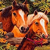 Пятнашки: Лошадиная ферма (Grand farm horses slide puzzle)