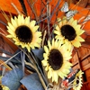 Пазл: Букет подсолнечников (Jigsaw: Sunflower Bouquet)