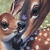 Пятнашки: Олени (Deers and lovely day slide puzzle)