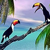 Пятнашки: Две птицы (Two toucan in the sea slide puzzle)