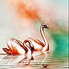 Пятнашки: Лебеди (Golden swans slide puzzle)