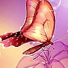 Поиск предметов: Удивительные бабочки (Fantastic butterflies hidden numbers)