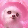 Пятнашки: Розовый щенок (Pink dog puppy slide puzzle)
