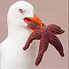 Пятнашки: Птица (Bird near the sea slide puzzle)