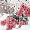 Пятнашки: Розовая собачка (Snow and pink dog slide puzzle)